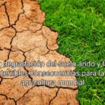 Degradación suelo árido